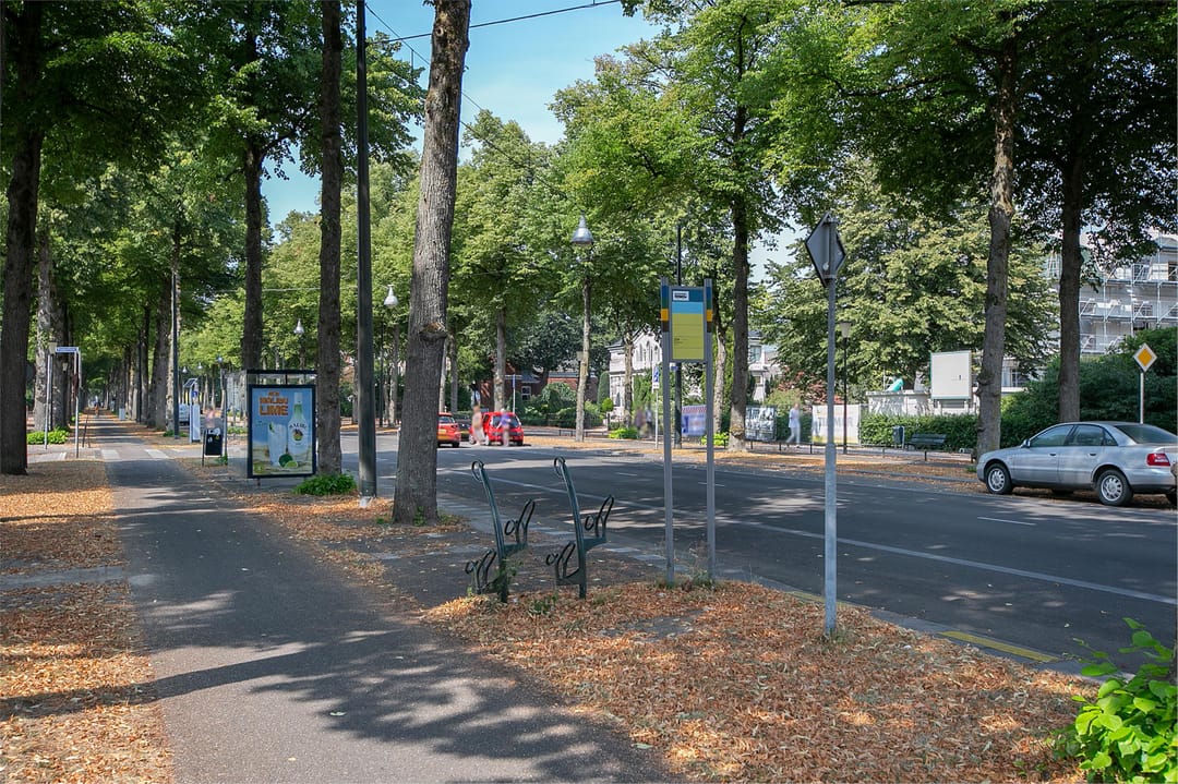 Foto 26 van Loolaan 41-102