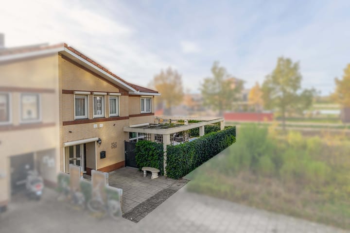 Photo 3 of Penningkruid 2