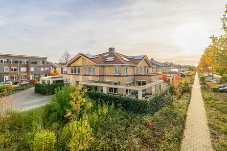 Penningkruid thumbnail