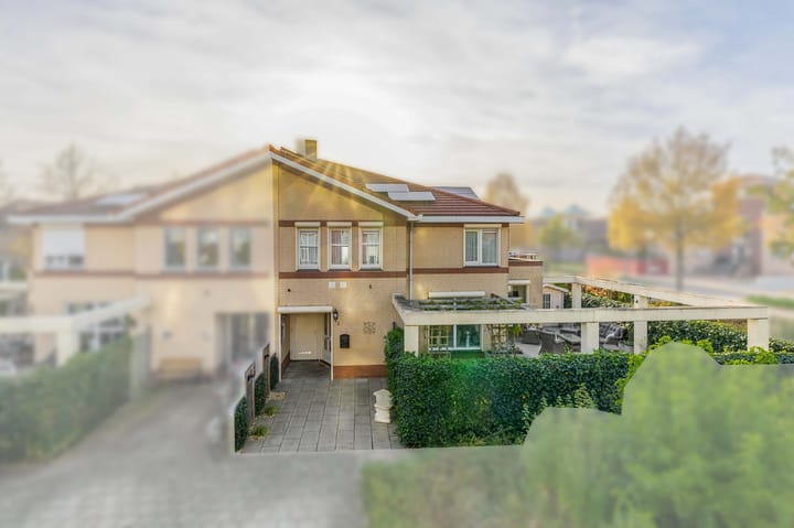 Photo 2 of Penningkruid 2