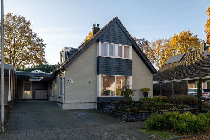 Donauring 202 main image