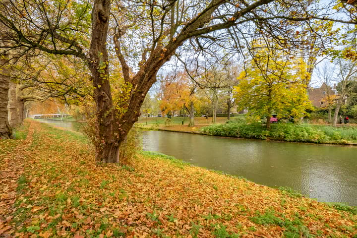 Foto 45 van Vaartsestraat 35