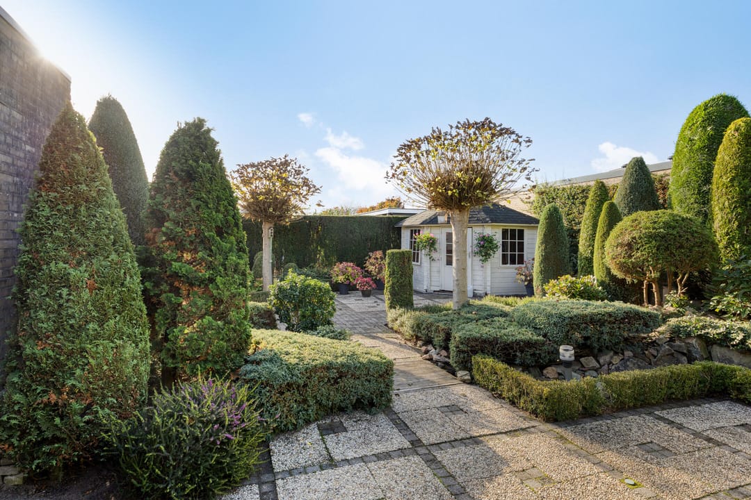 Foto 31 van Dillenburgstraat 41