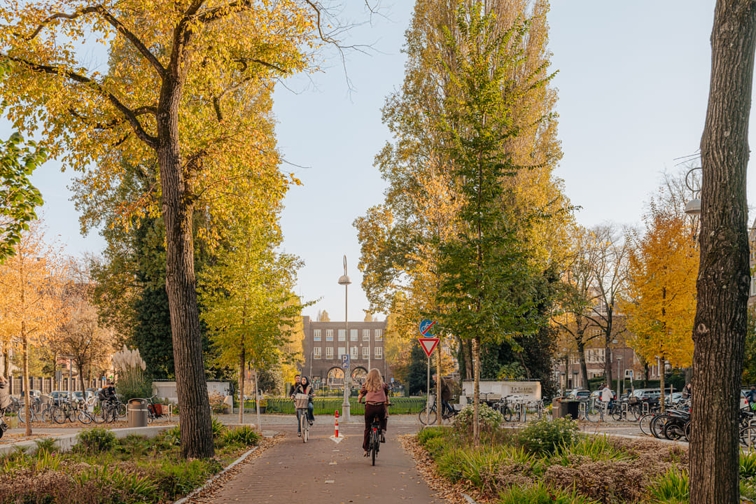 Foto 52 van Koninginneweg 164-H