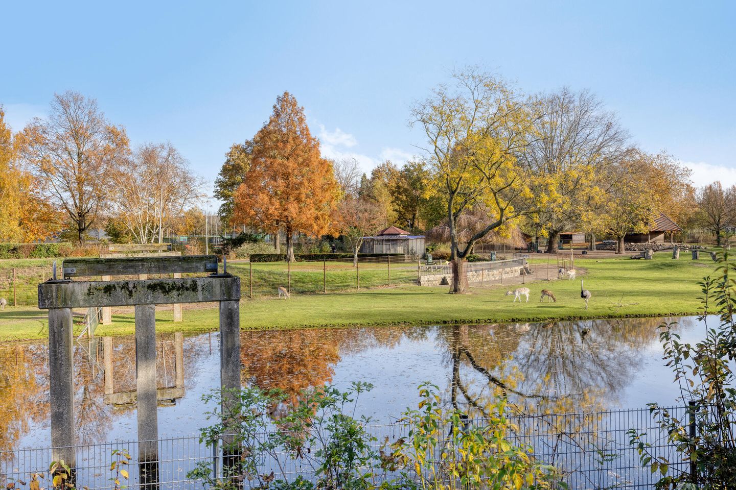 Foto 35 van Dillenburgstraat 41