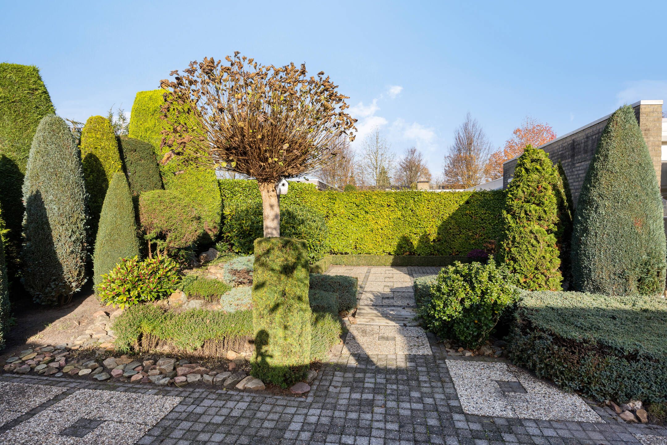 Foto 30 van Dillenburgstraat 41