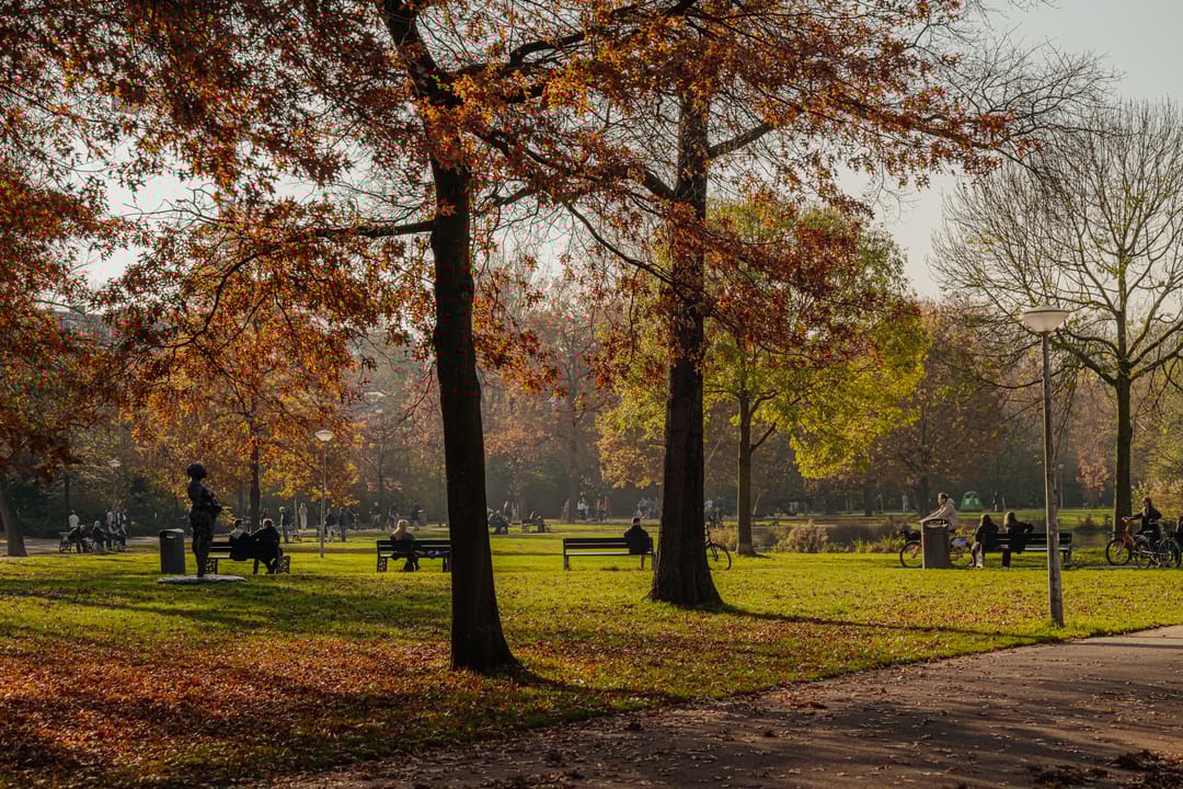 Foto 56 van Koninginneweg 164-H