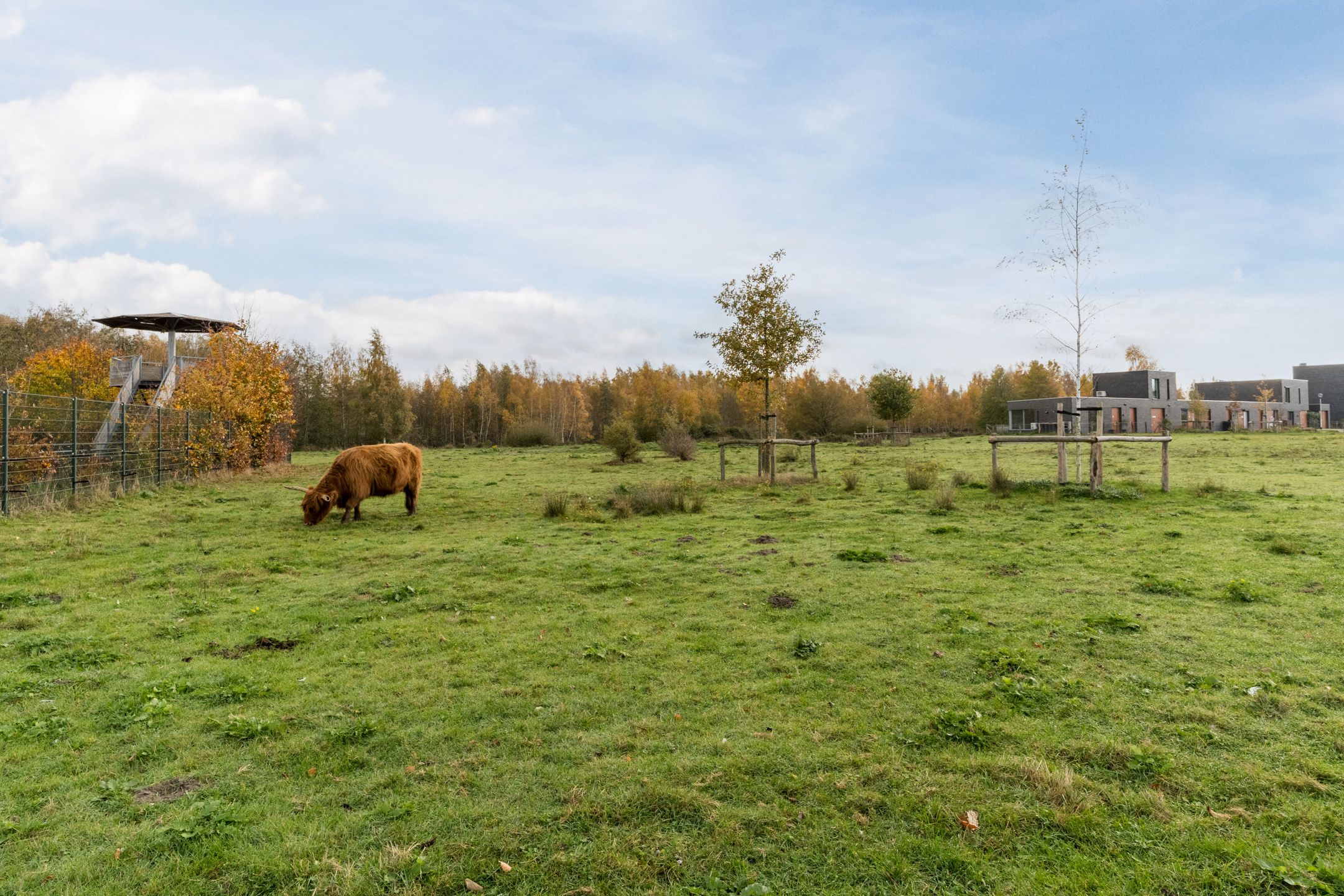 Foto 3 van Scharwoudestraat 57