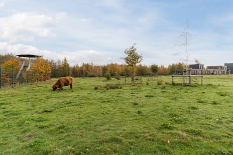 Scharwoudestraat 57 tertiary image