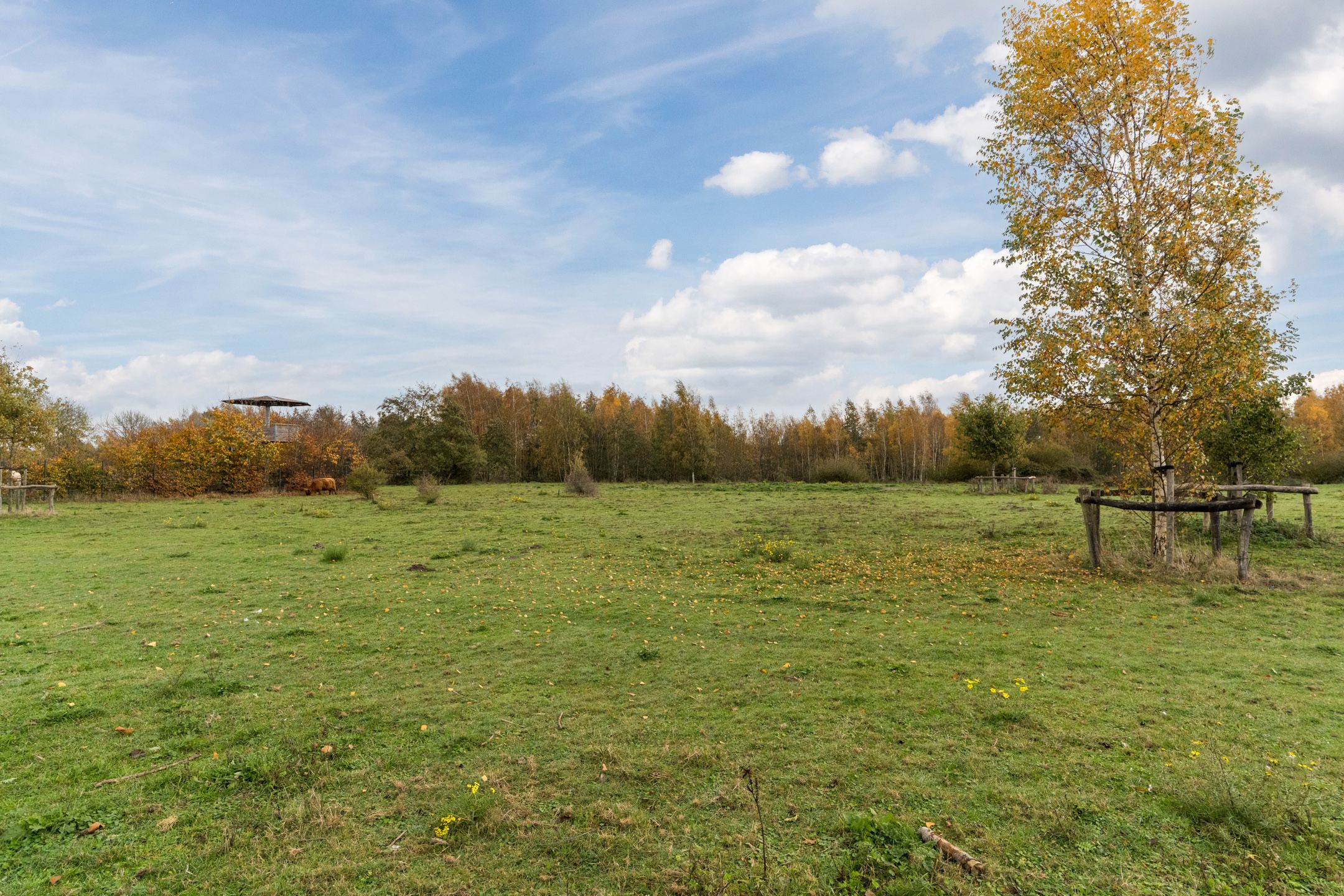 Foto 30 van Scharwoudestraat 57