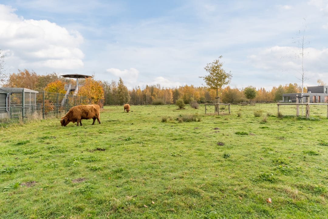 Foto 31 van Scharwoudestraat 57