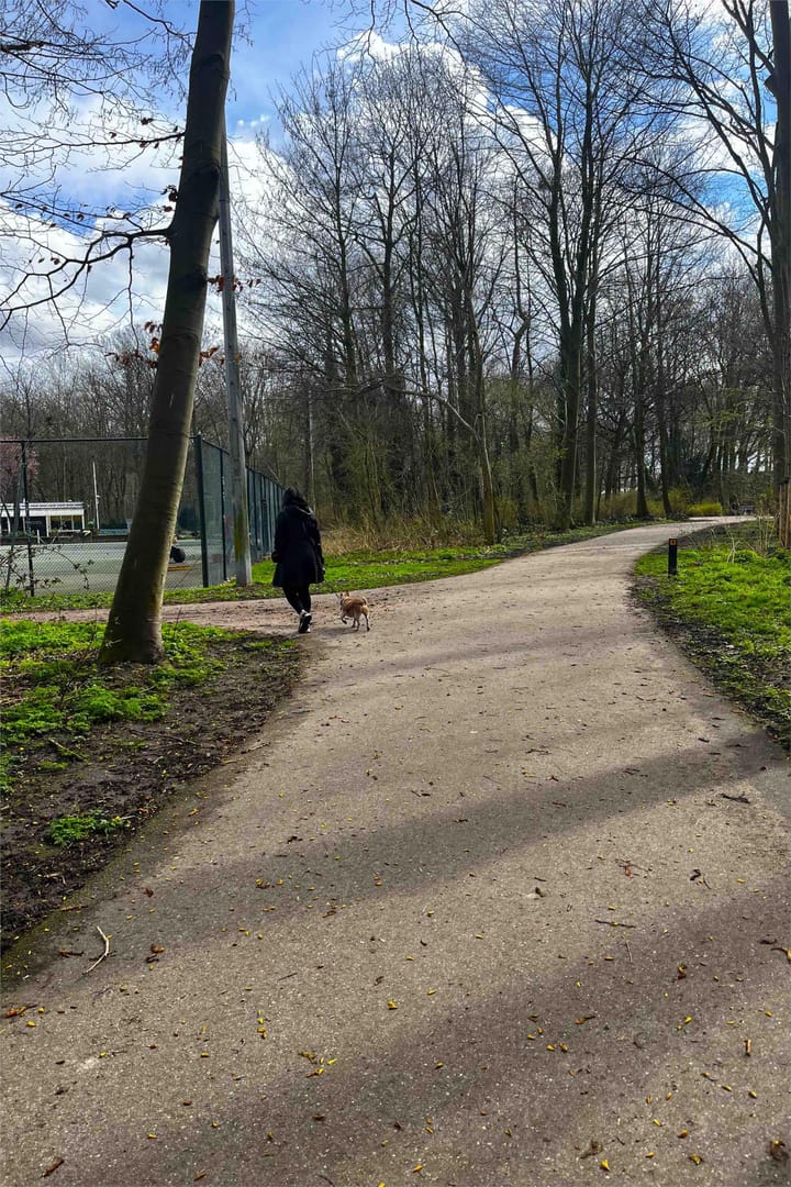 Foto 40 van Da Costastraat 22