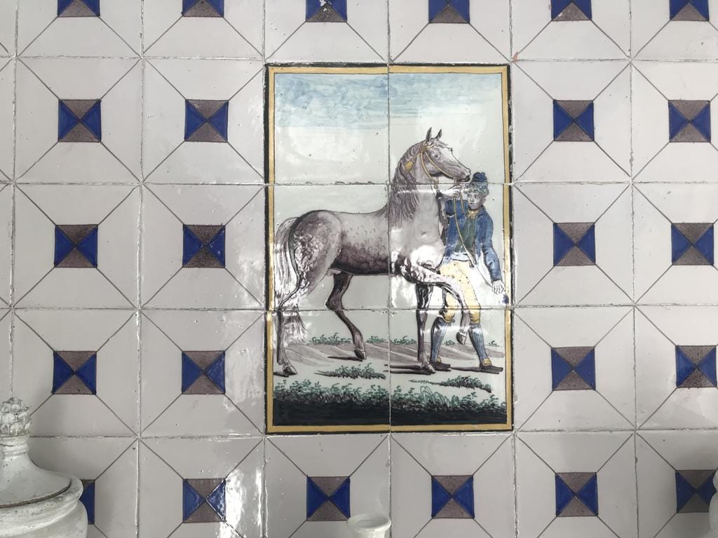 Photo 13 of Epemawei 6