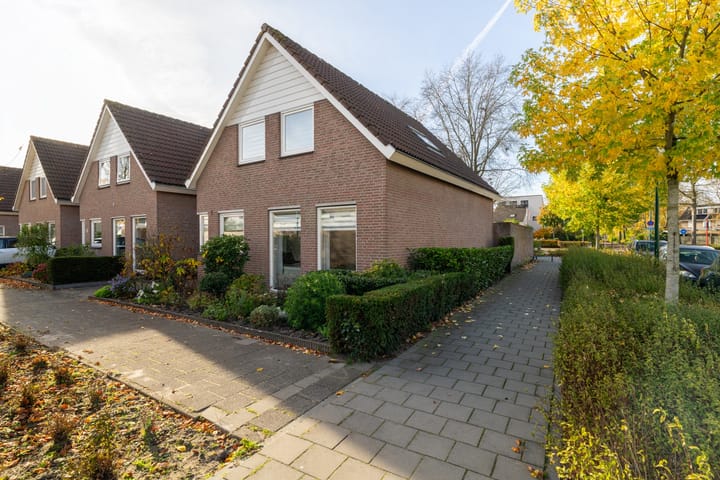 Panakker 2 main image