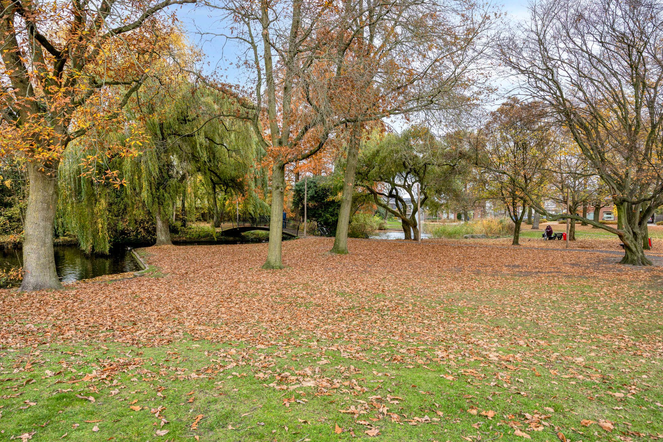 Foto 60 van Daliastraat 44