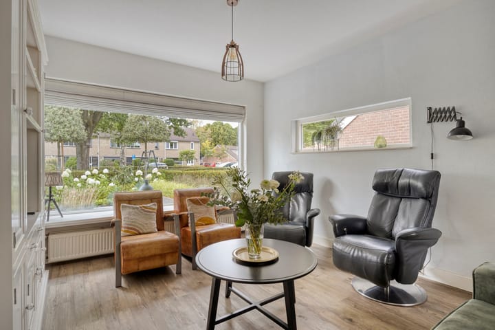 Photo 3 of de Roerdomp 42