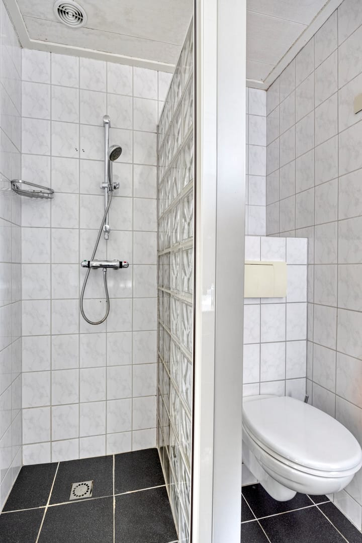 Photo 28 of de Roerdomp 42