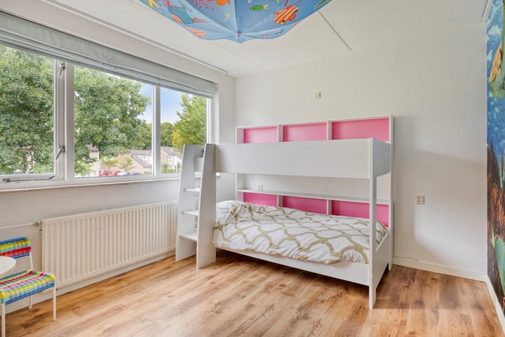 Photo 31 of de Roerdomp 42