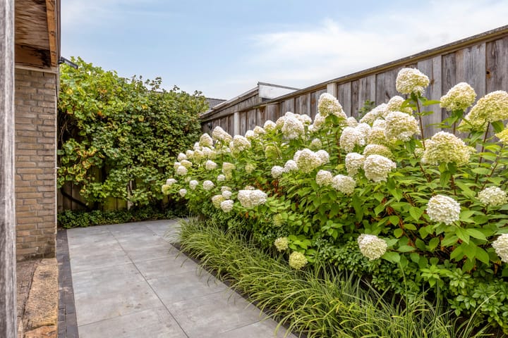 Photo 42 of de Roerdomp 42