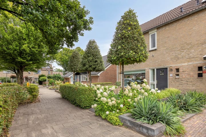 Photo 47 of de Roerdomp 42