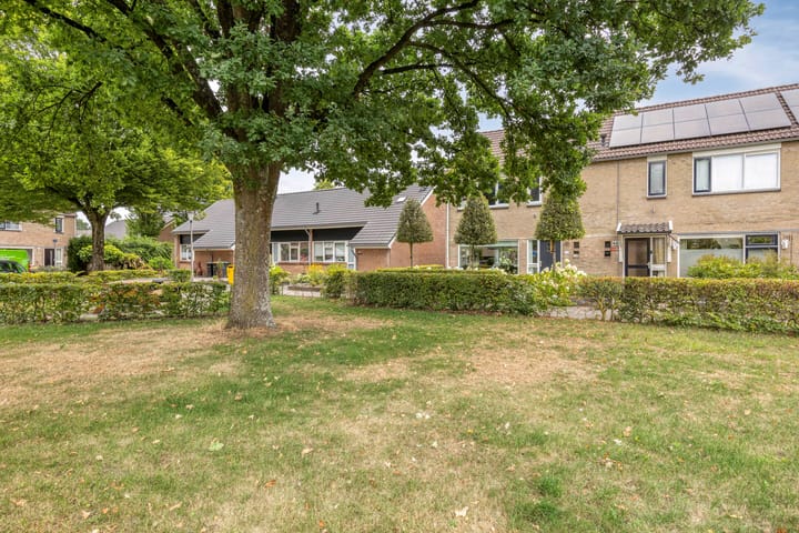 Photo 48 of de Roerdomp 42