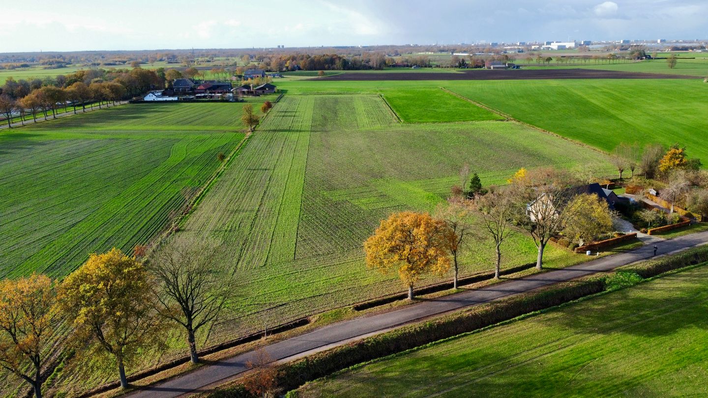 Bekijk foto 3 van Aardstraat