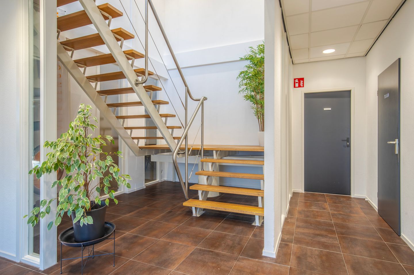 View photo 3 of Geograaf 19