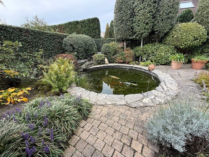 Photo 42 of Spuilaan 2