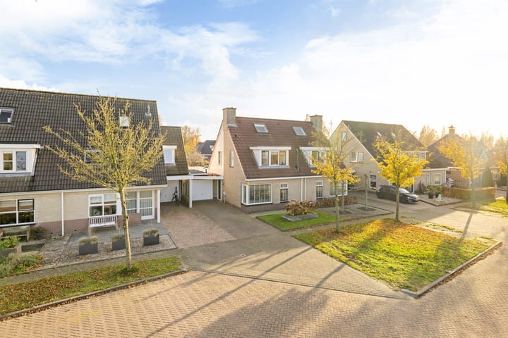 Photo 8 of Skoalekers 37