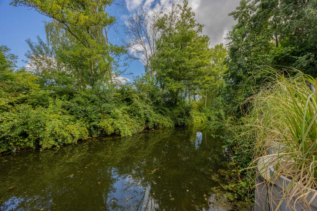 Foto 43 van de Wellenkamp 1224