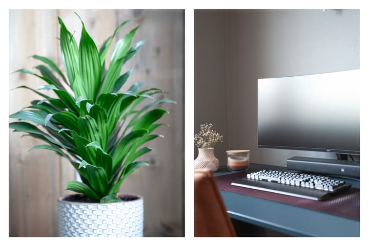 Photo 23 of Havikweg 94