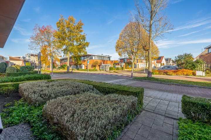 Photo 38 of State 35