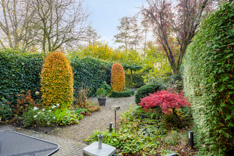 Vlasweel 16 tertiary image