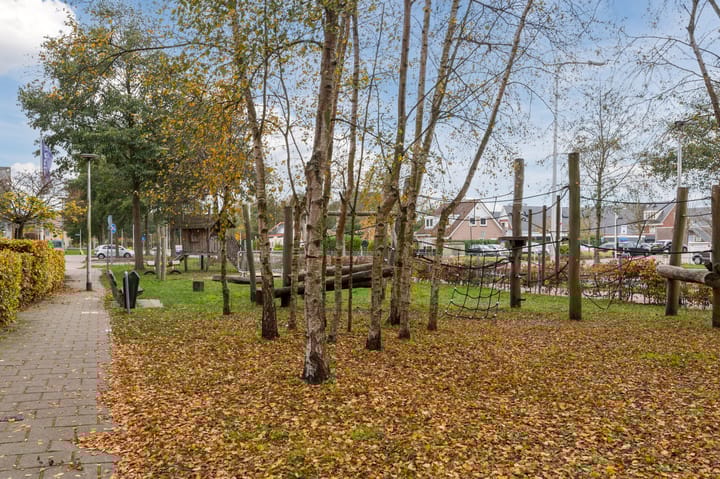 Foto 42 van Ravellaan 5