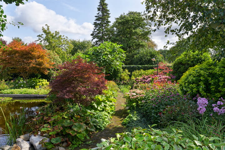 Photo 40 of Meerewijck 15