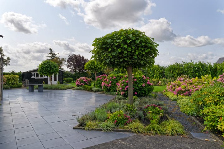 Photo 43 of Meerewijck 15