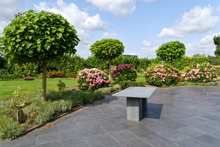 Photo 44 of Meerewijck 15