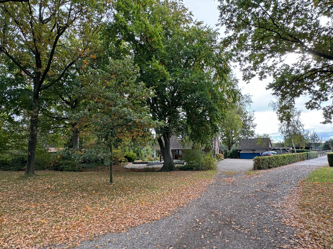 Photo 16 of 't Haantje 61