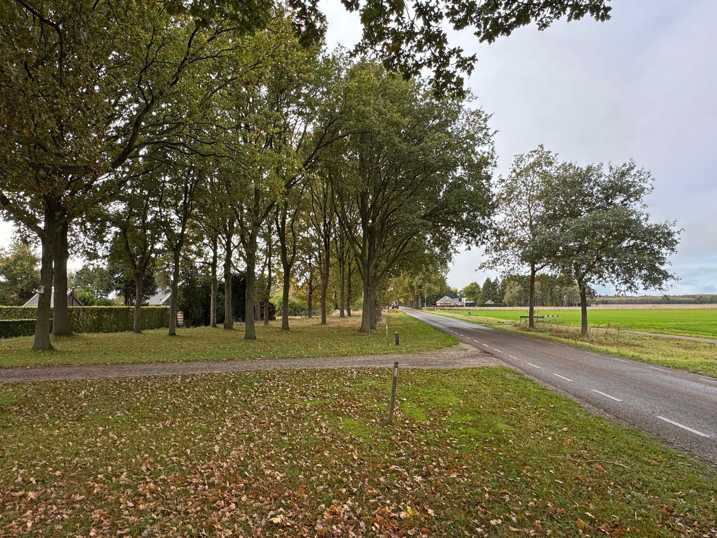 Photo 19 of 't Haantje 61