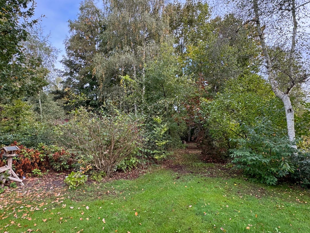 Photo 26 of 't Haantje 61