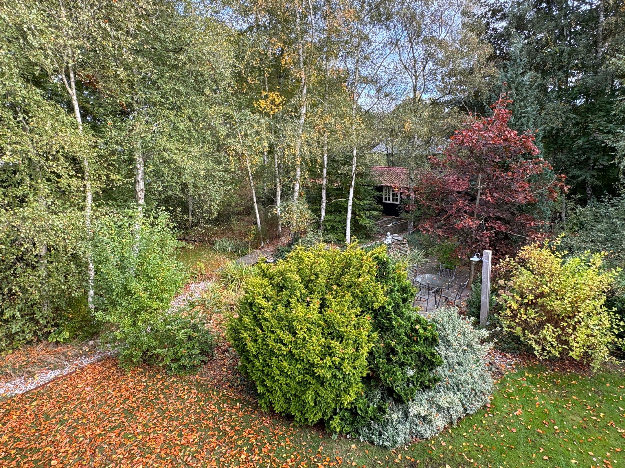 Photo 27 of 't Haantje 61