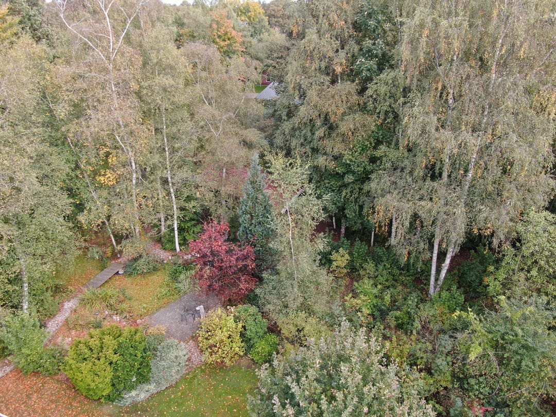 Photo 28 of 't Haantje 61