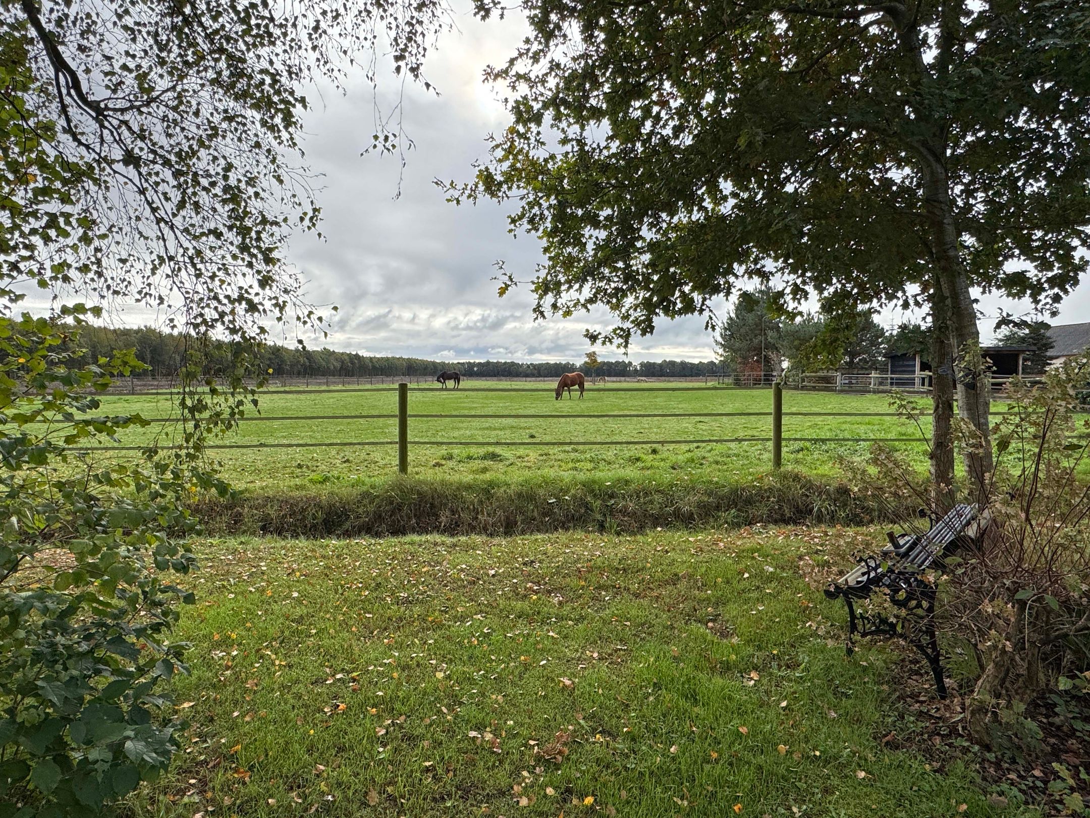 Photo 30 of 't Haantje 61