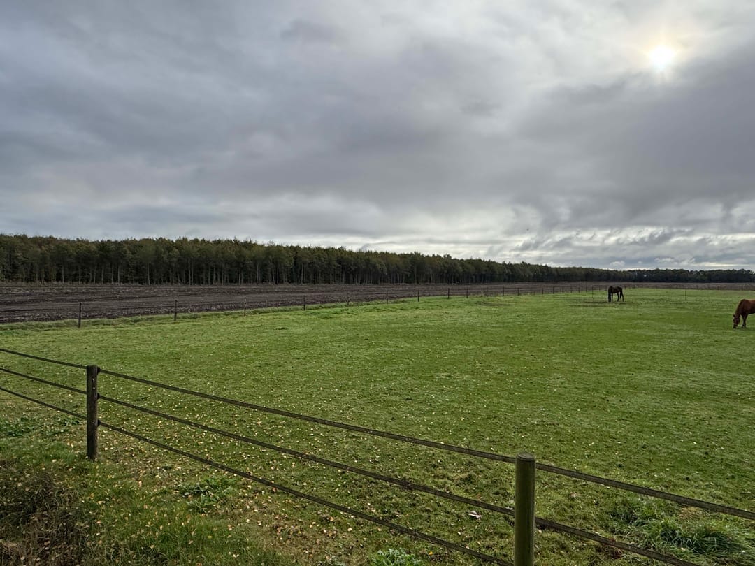 Photo 31 of 't Haantje 61