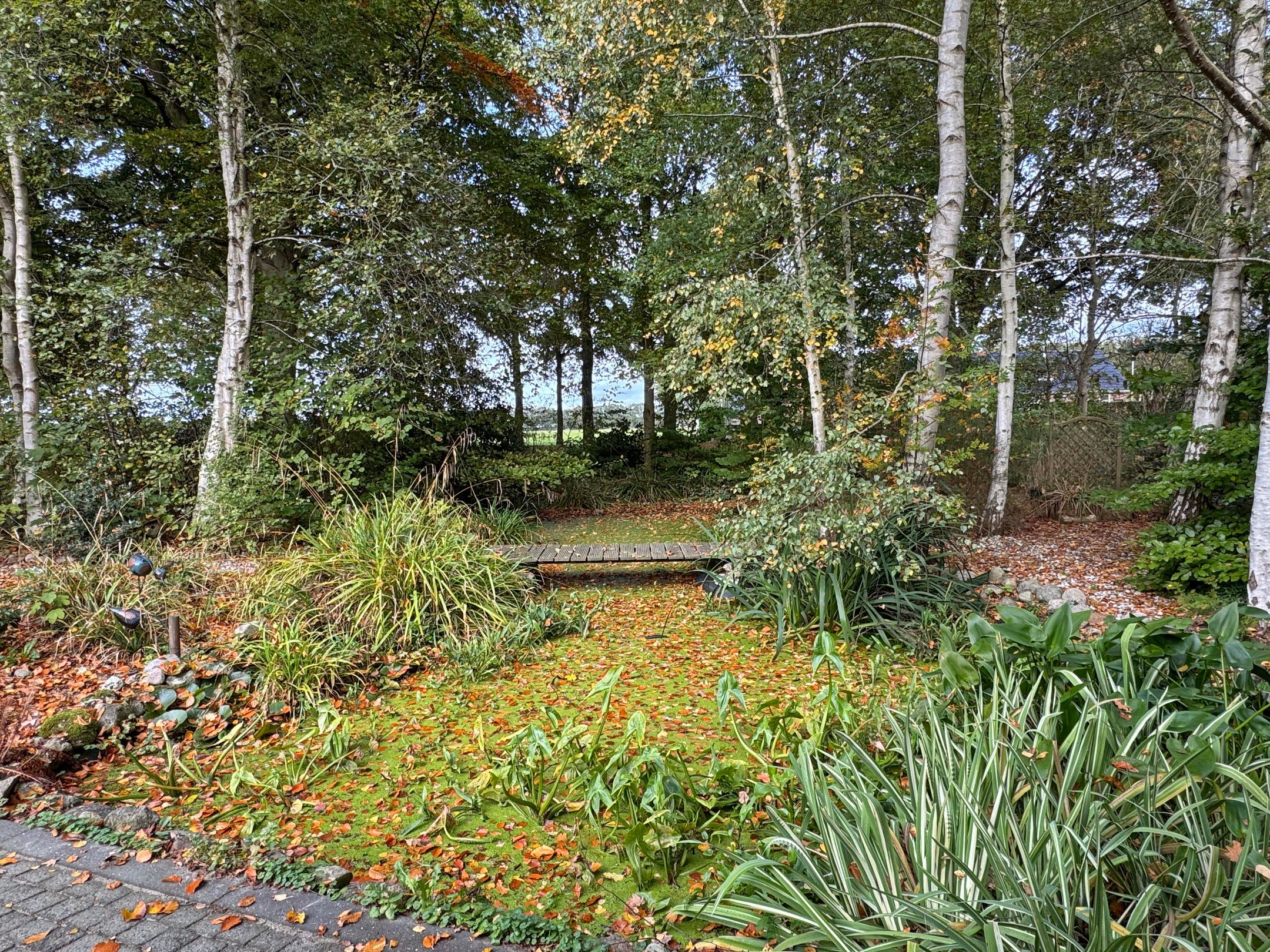 Photo 33 of 't Haantje 61