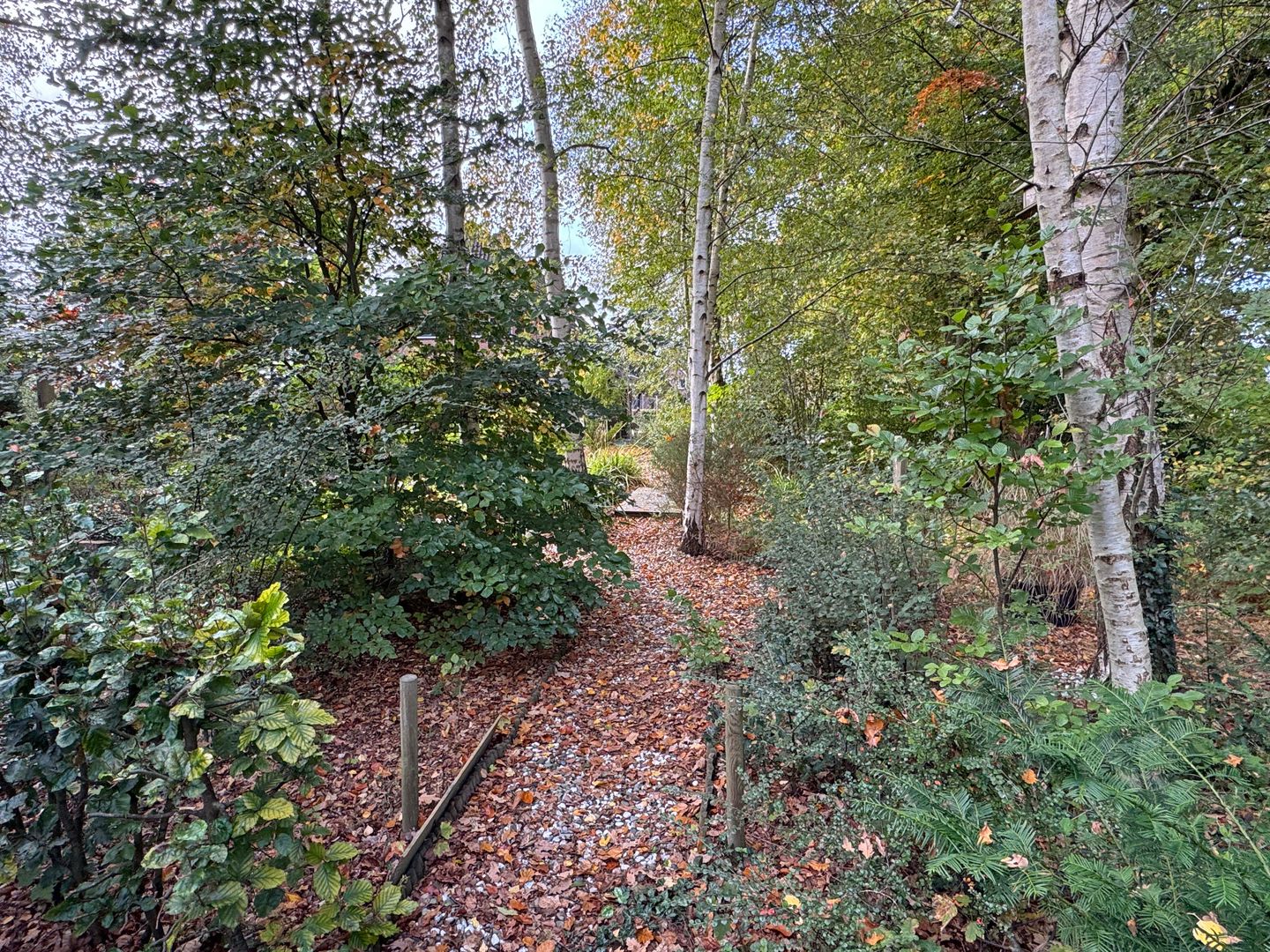 Photo 34 of 't Haantje 61