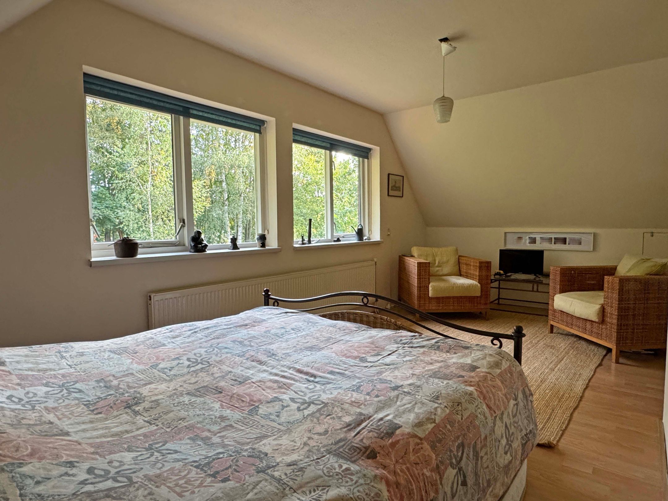 Photo 57 of 't Haantje 61