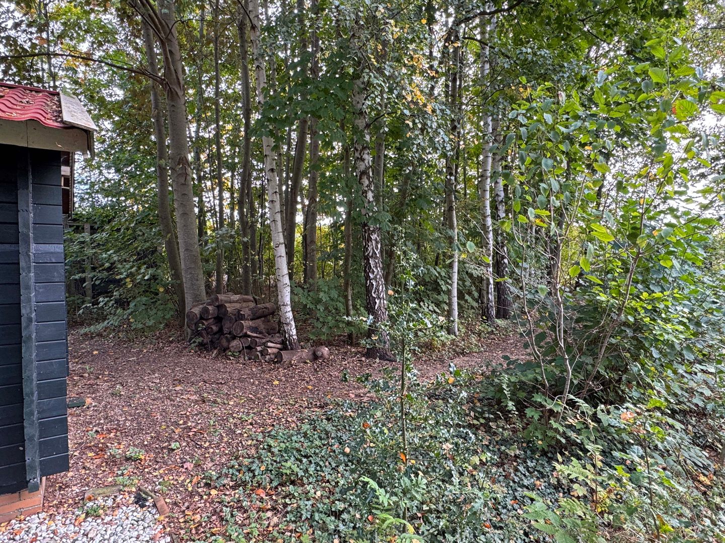 Photo 59 of 't Haantje 61