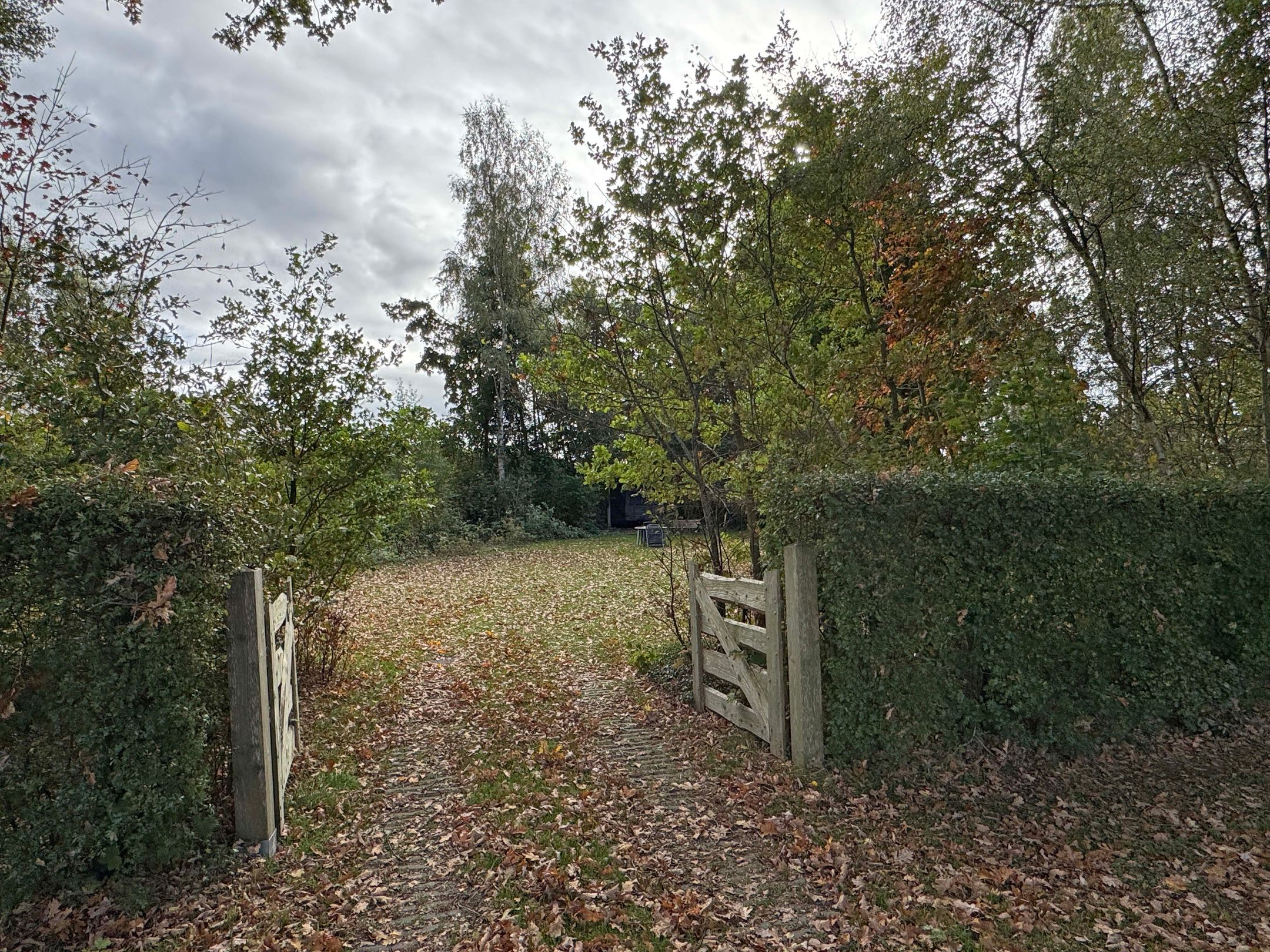 Photo 63 of 't Haantje 61