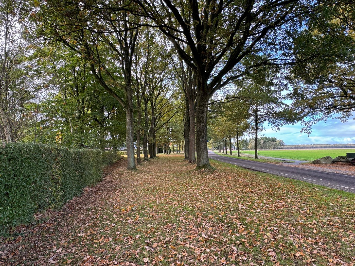 Photo 64 of 't Haantje 61